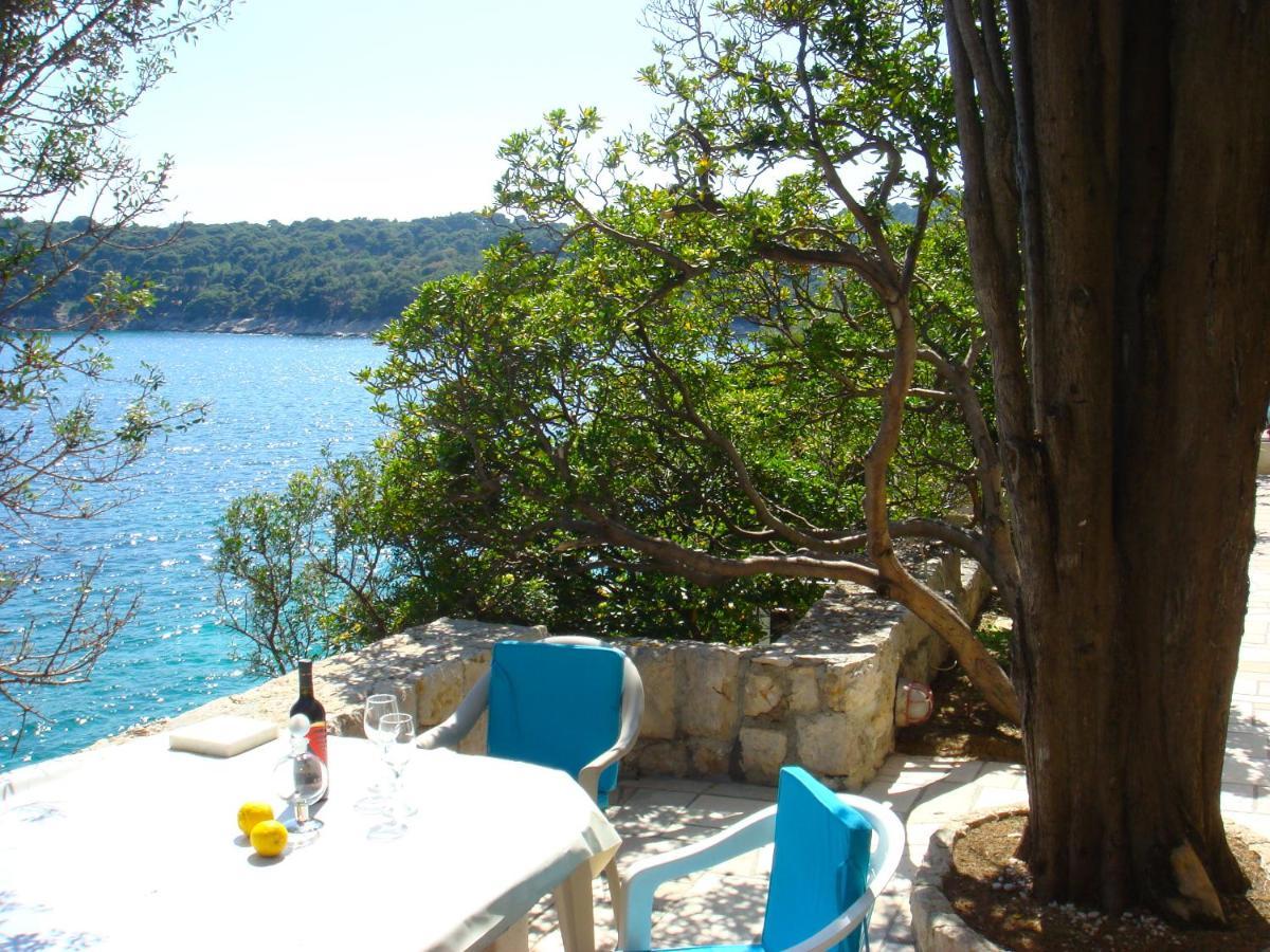 Beach House On The Cliff Zaton  Kültér fotó